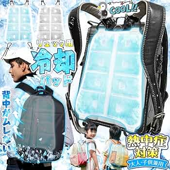 flumpool グッズ ライブ　リュック　パンフレット　タオル　会報 flumpool グッズ ライブ リュック パンフレット タオル 会報